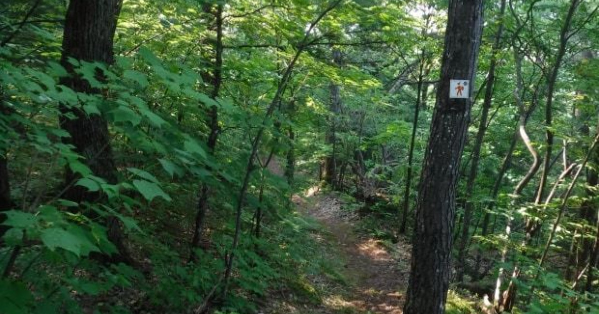 Denholm Falls Park Trails